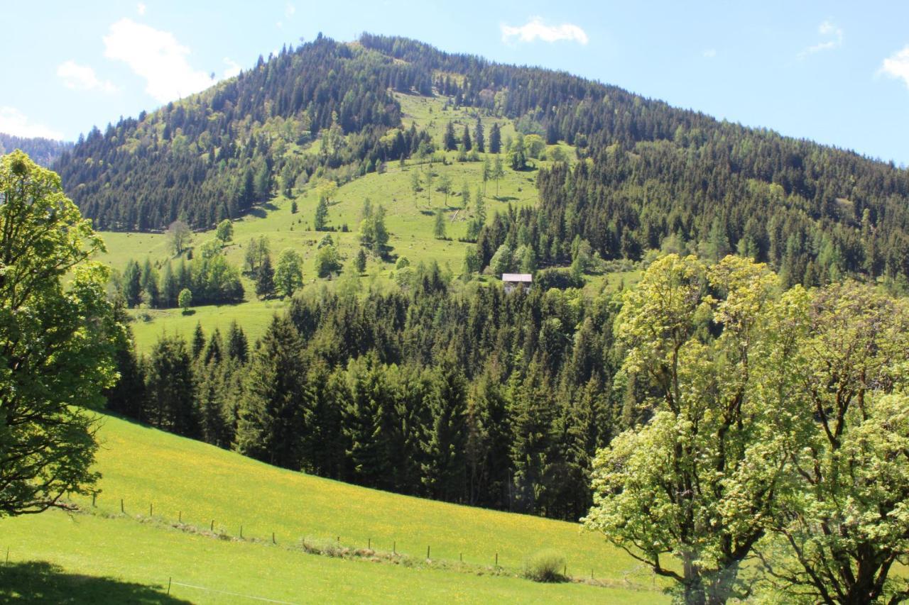 Zauneralm Айх Экстерьер фото
