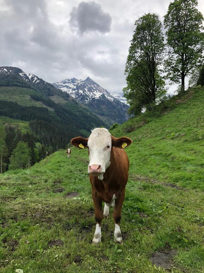 Zauneralm Айх Экстерьер фото